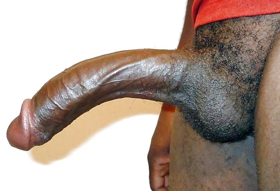 25P Black Cock