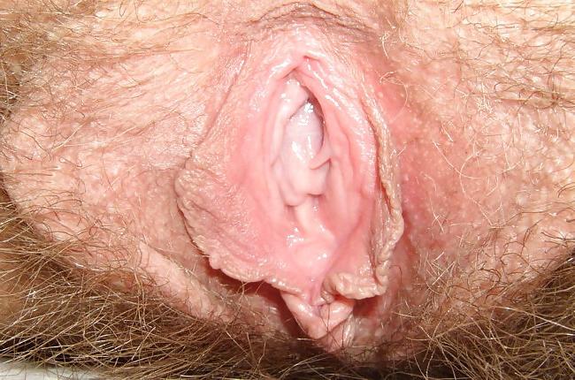 21P More close up pussy picks