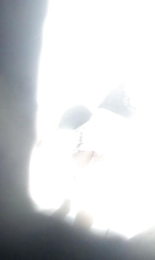 5P Spy sexy teens upskirt romanian