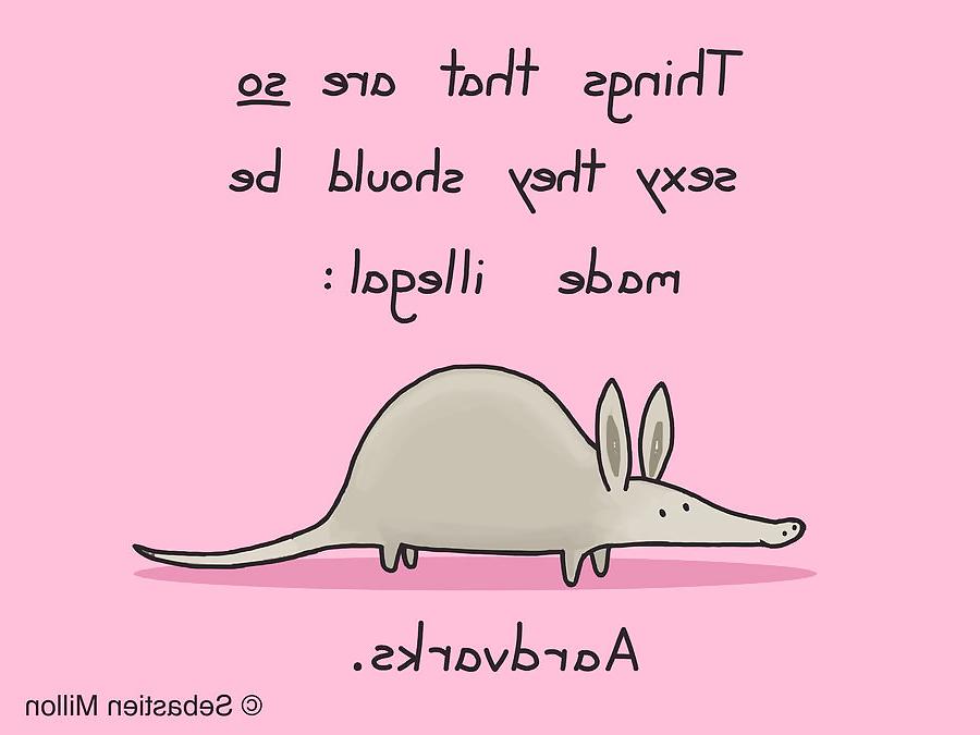 7P Aardvark
