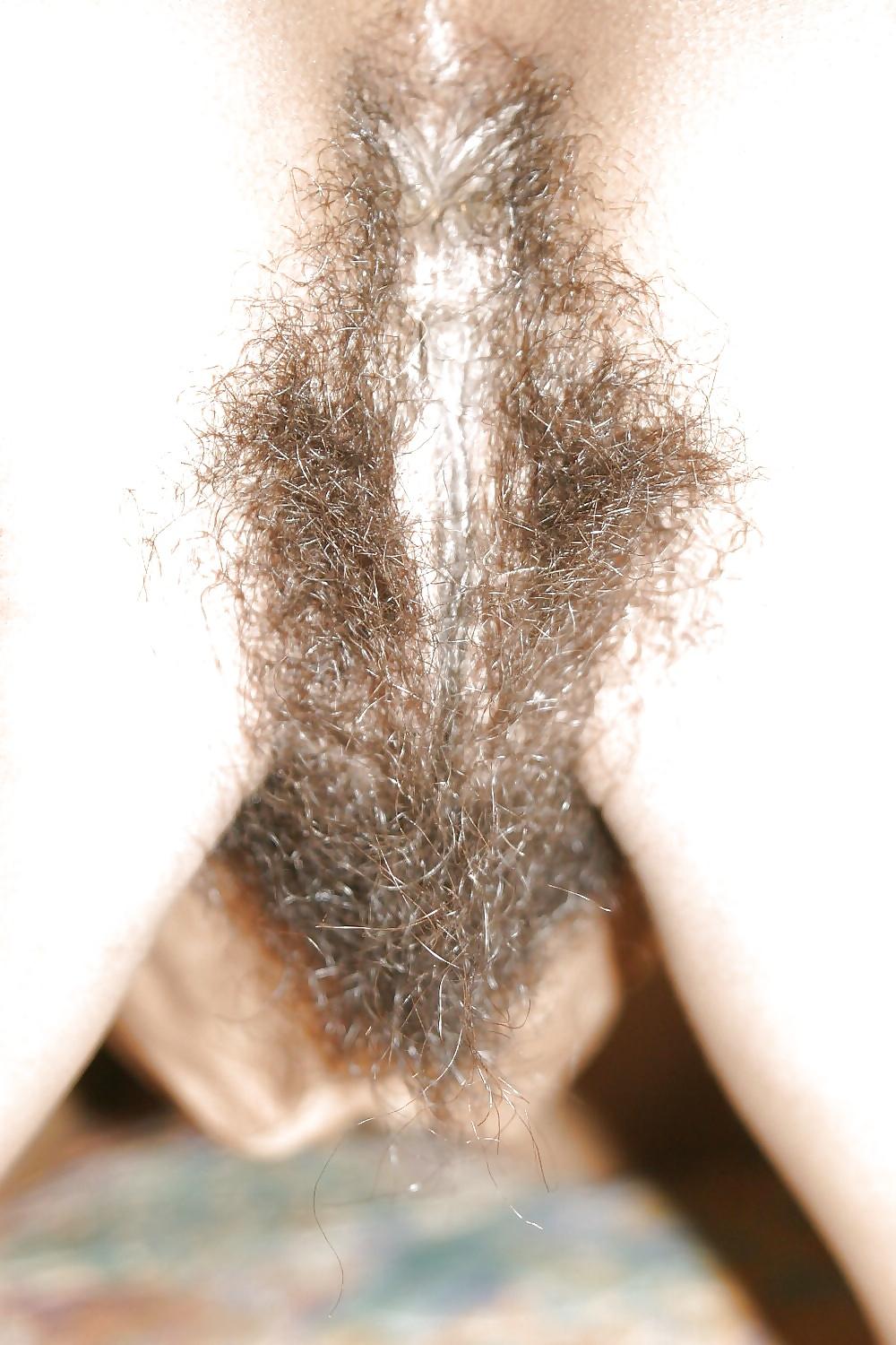 25P Hairy Ebony Mature 