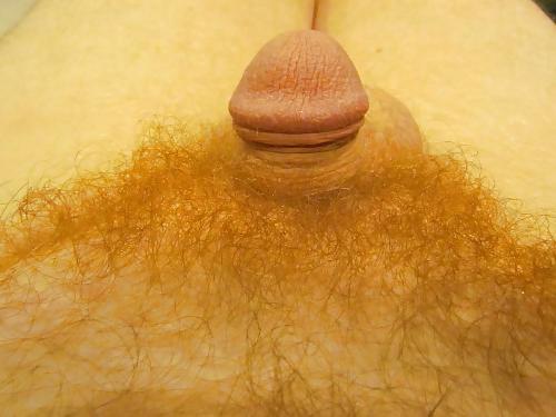 10P Jjmontana close up shots of ginger body hair