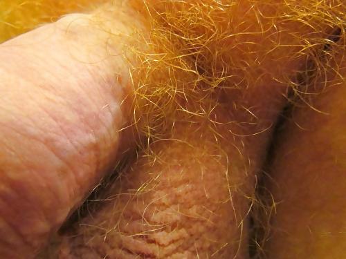 10P Jjmontana close up shots of ginger body hair
