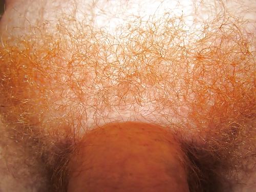 10P Jjmontana close up shots of ginger body hair