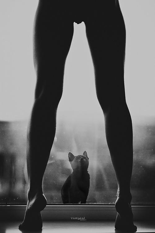 23P Perfect Storm - Beautiful Women and Their Pets