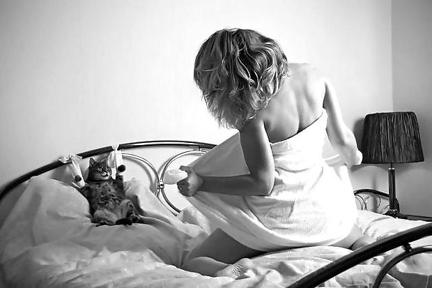 23P Perfect Storm - Beautiful Women and Their Pets