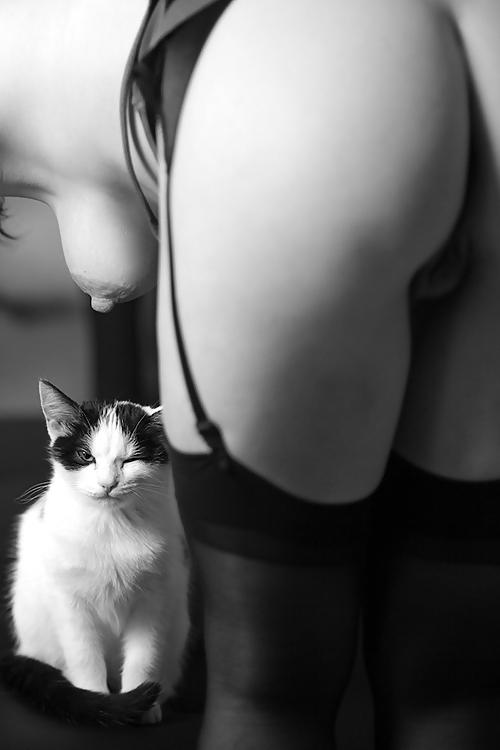 23P Perfect Storm - Beautiful Women and Their Pets
