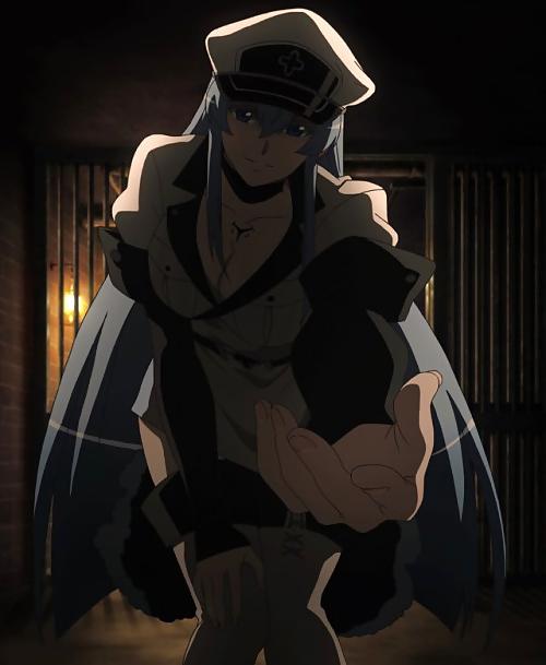 25P Akame Ga Kill