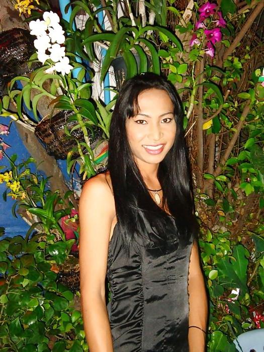 13P Pattaya Ladyboy Pak
