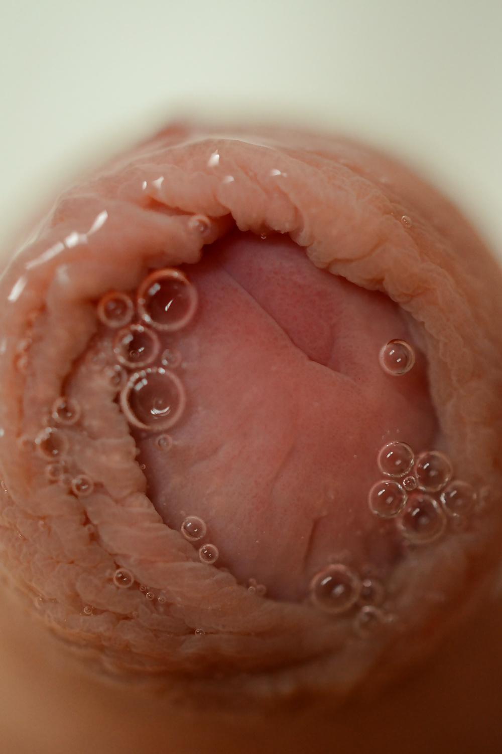 19P Dripping Precum Close-up