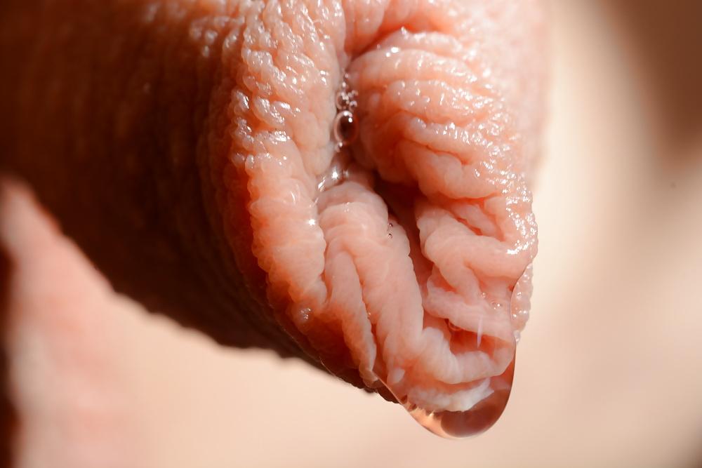 19P Dripping Precum Close-up