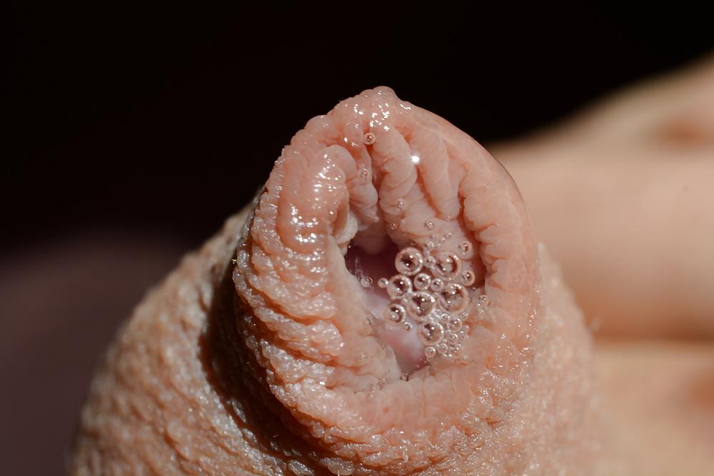 19P Dripping Precum Close-up