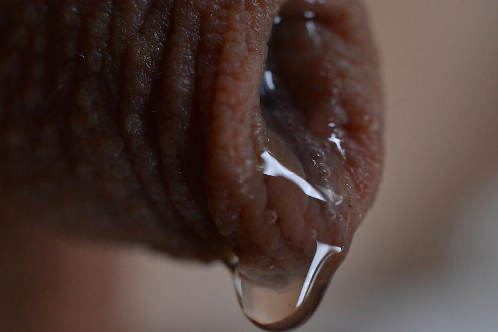 19P Dripping Precum Close-up