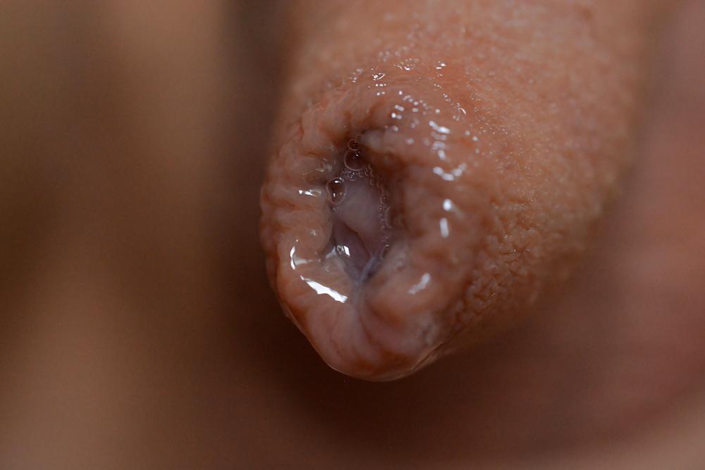 19P Dripping Precum Close-up