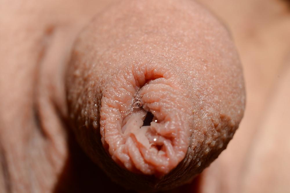 19P Dripping Precum Close-up