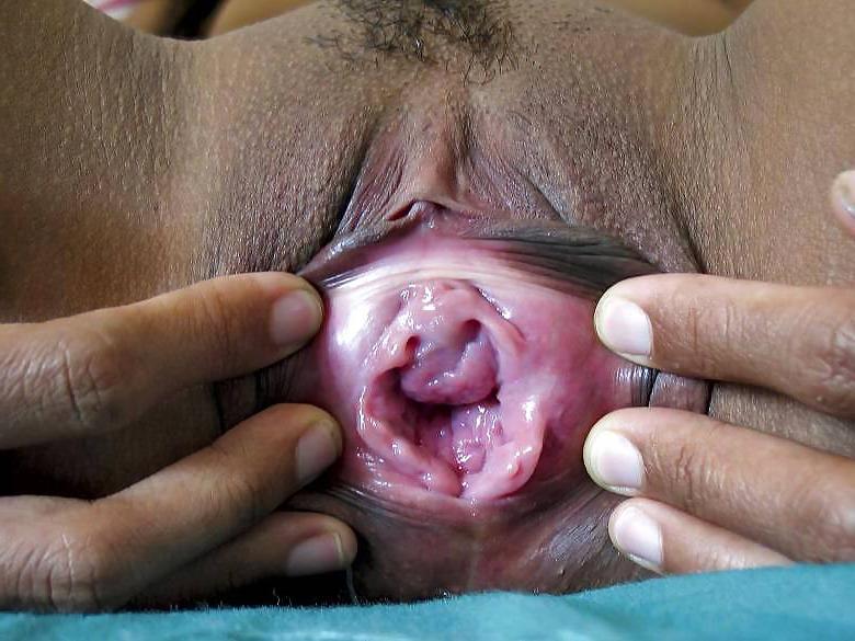 17P Dark Asian Pussy