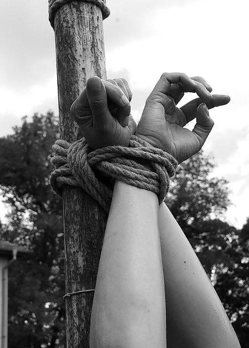 25P Beauty of the rope
