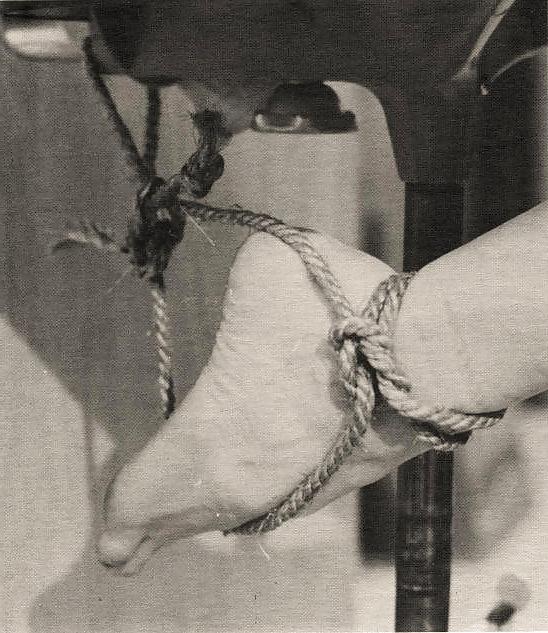 25P Beauty of the rope