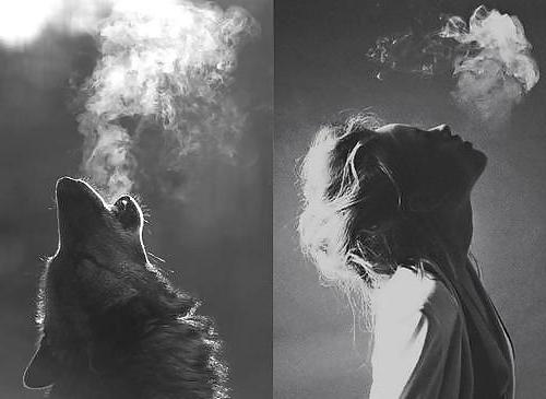 25P My Lady Wolf