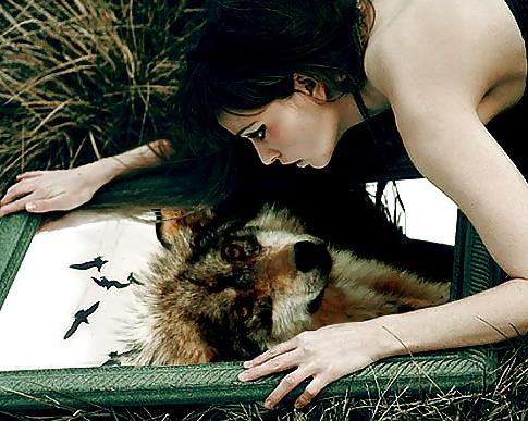 25P My Lady Wolf