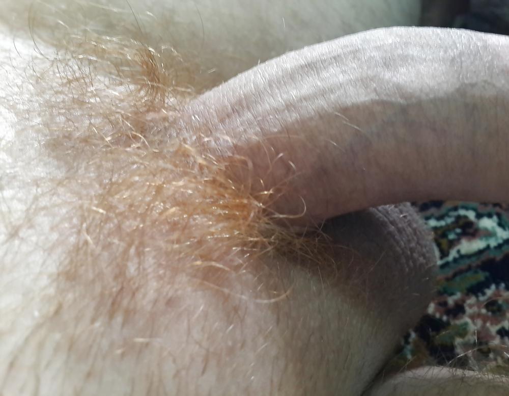 7P Hlajany, my red pubic hair close up