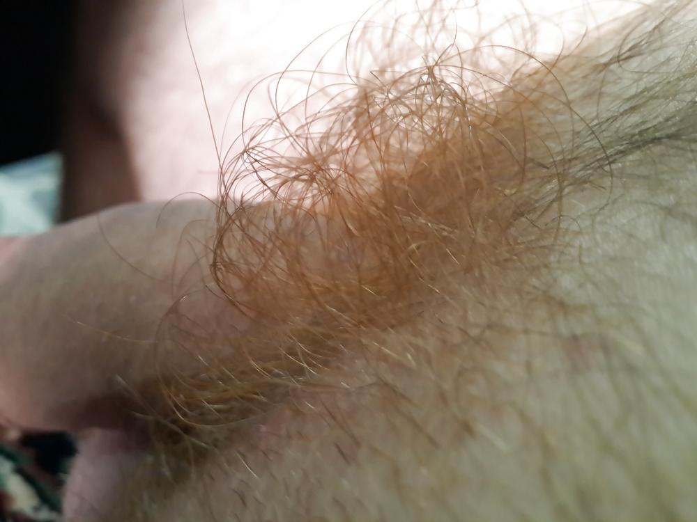 7P Hlajany, my red pubic hair close up