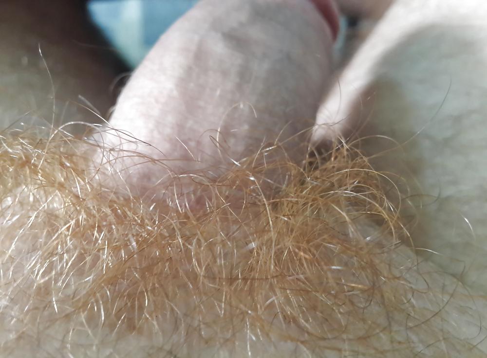 7P Hlajany, my red pubic hair close up