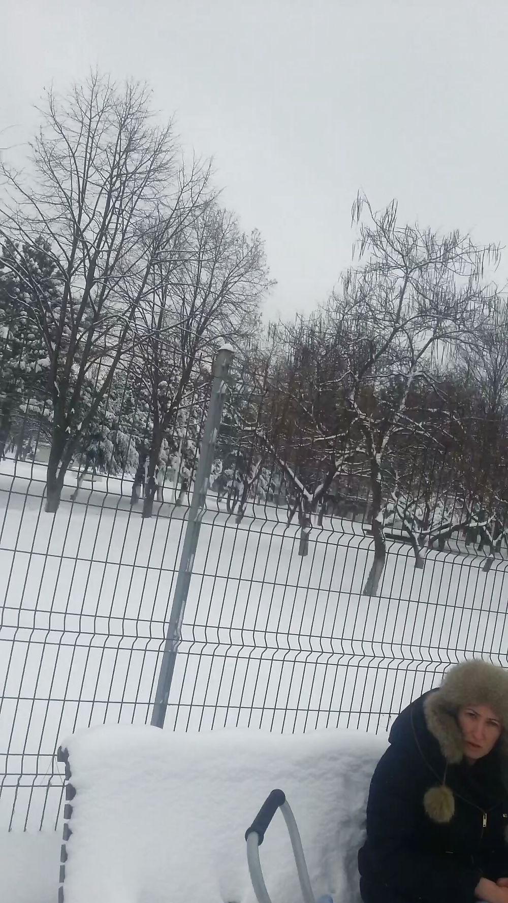 4P Slut romanian-ce plm mea se uita parca i-am aratat pula