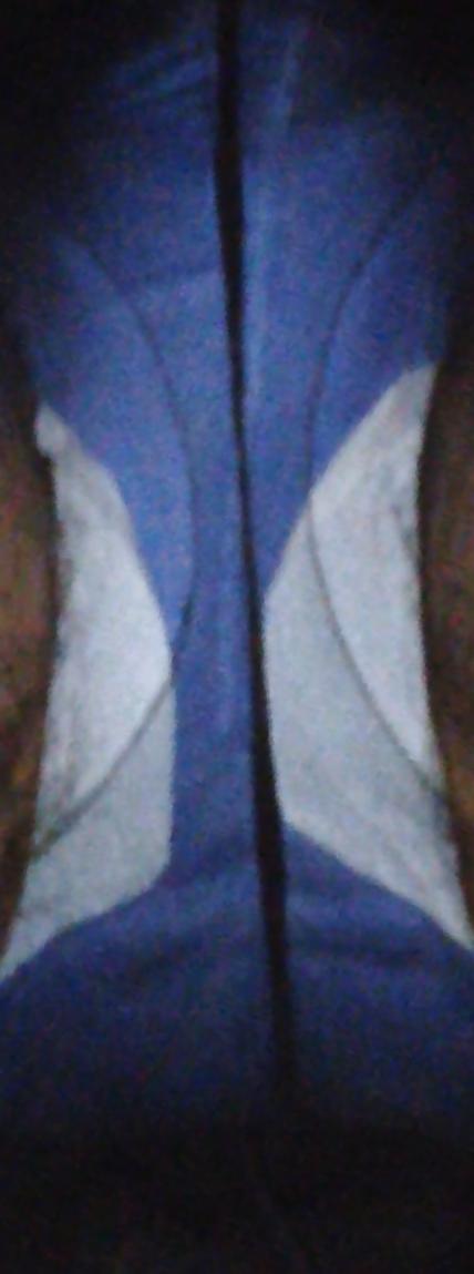 23P Upskirt Pelosi