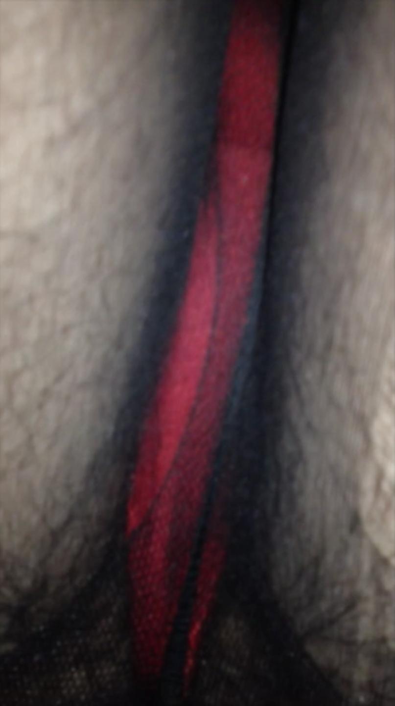 23P Upskirt Pelosi
