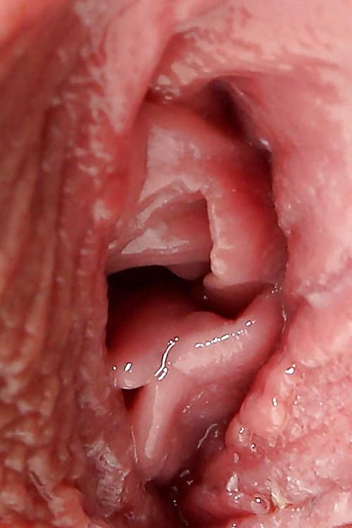 11P Close Up