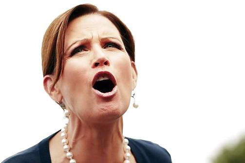 25P Michelle Bachmann---Real And Fake