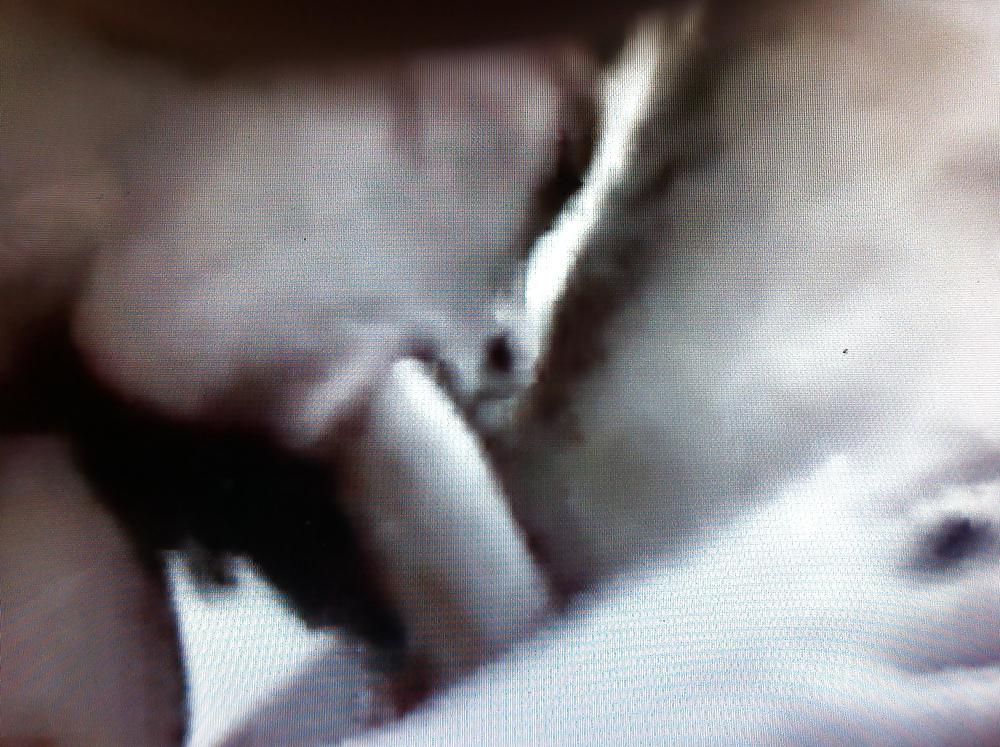 8P HE ALSO OFFER ME HIS WIFE- movie to follow