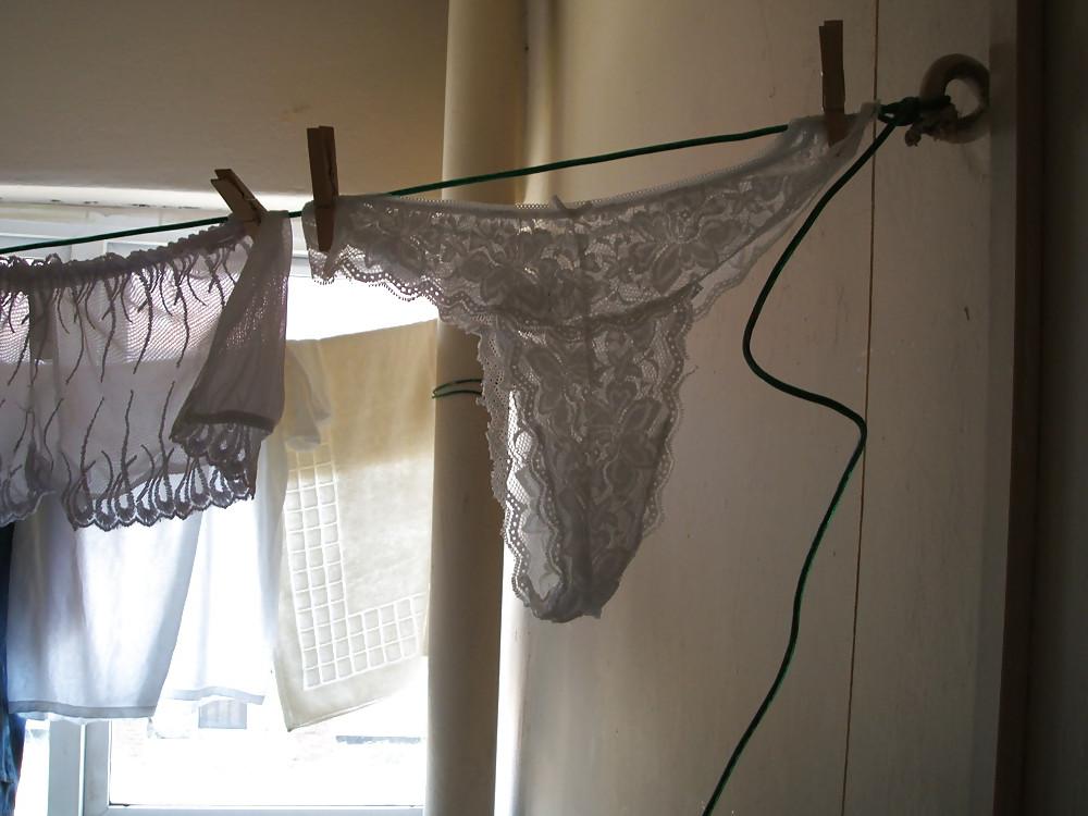 6P Daughter's  panties on washing line