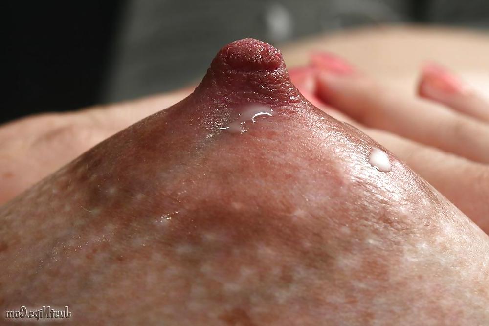 24P Nipples