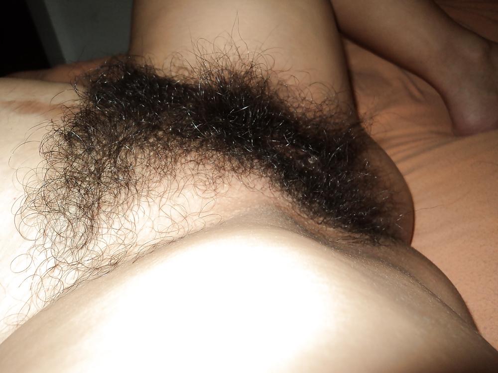 15P Vagina peluda