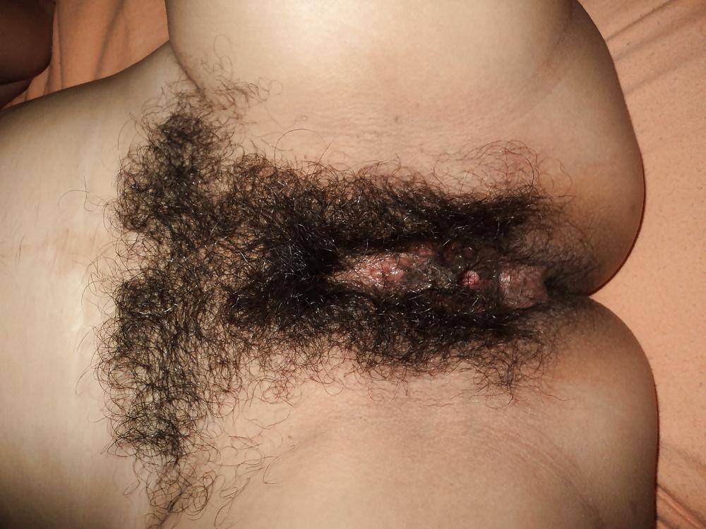 15P Vagina peluda