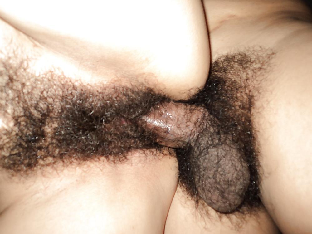 15P Vagina peluda