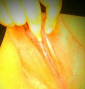 14P Fingering wet pussy