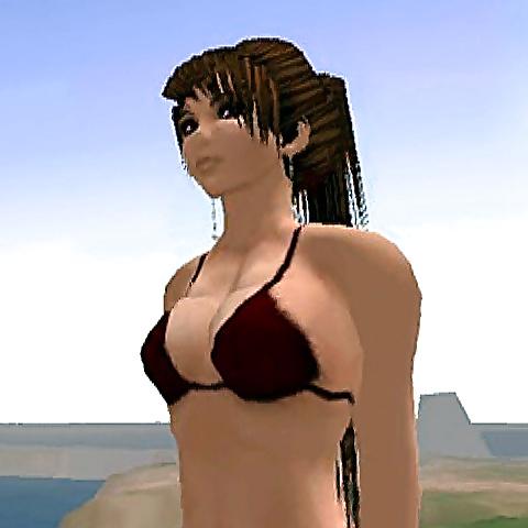 4P Virtuelles Ich