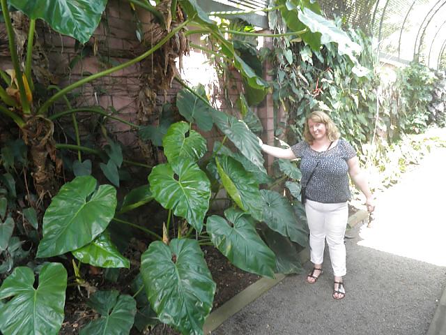 15P Monstertits russian amatuire mature 34 yo