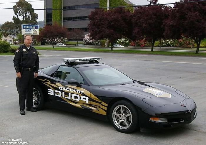 21P Intersting Police Cars (non nude - just funny)