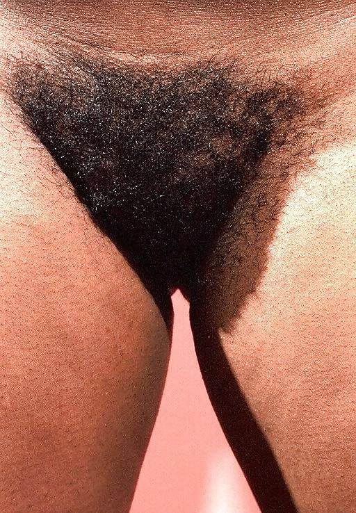 25P Hairy Ebony Pussy