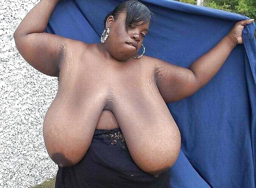 14P Nipples pointing south