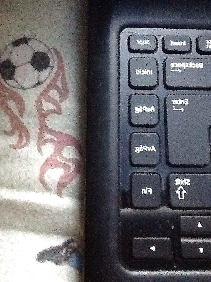 16P Schoßwürste
