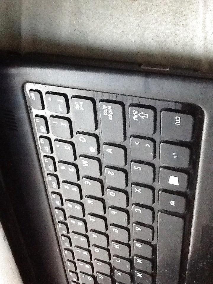 16P Schoßwürste