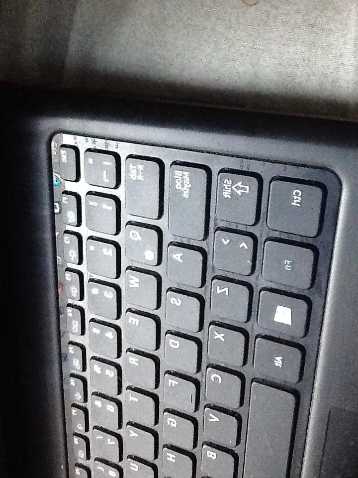 16P Schoßwürste