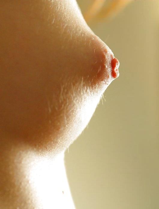 19P Just Nipples