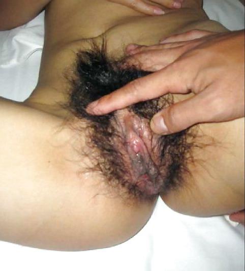7P Chinese Amateur Bush