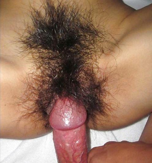 7P Chinese Amateur Bush